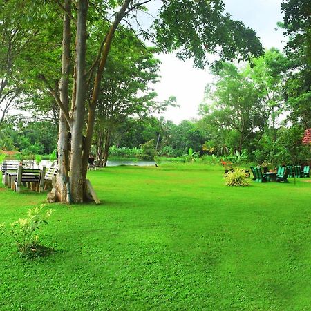 Canal Side Safari Resort Udawalawe Zewnętrze zdjęcie