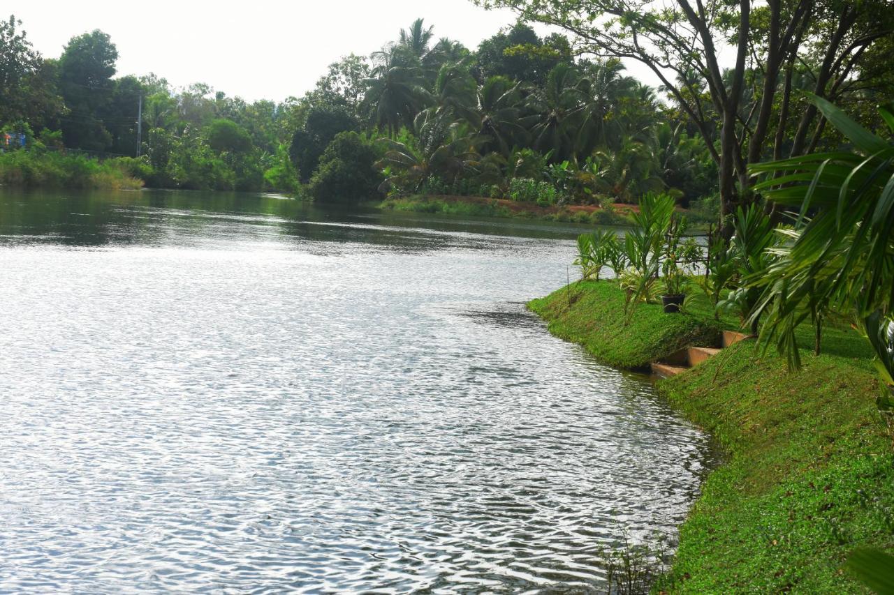 Canal Side Safari Resort Udawalawe Zewnętrze zdjęcie