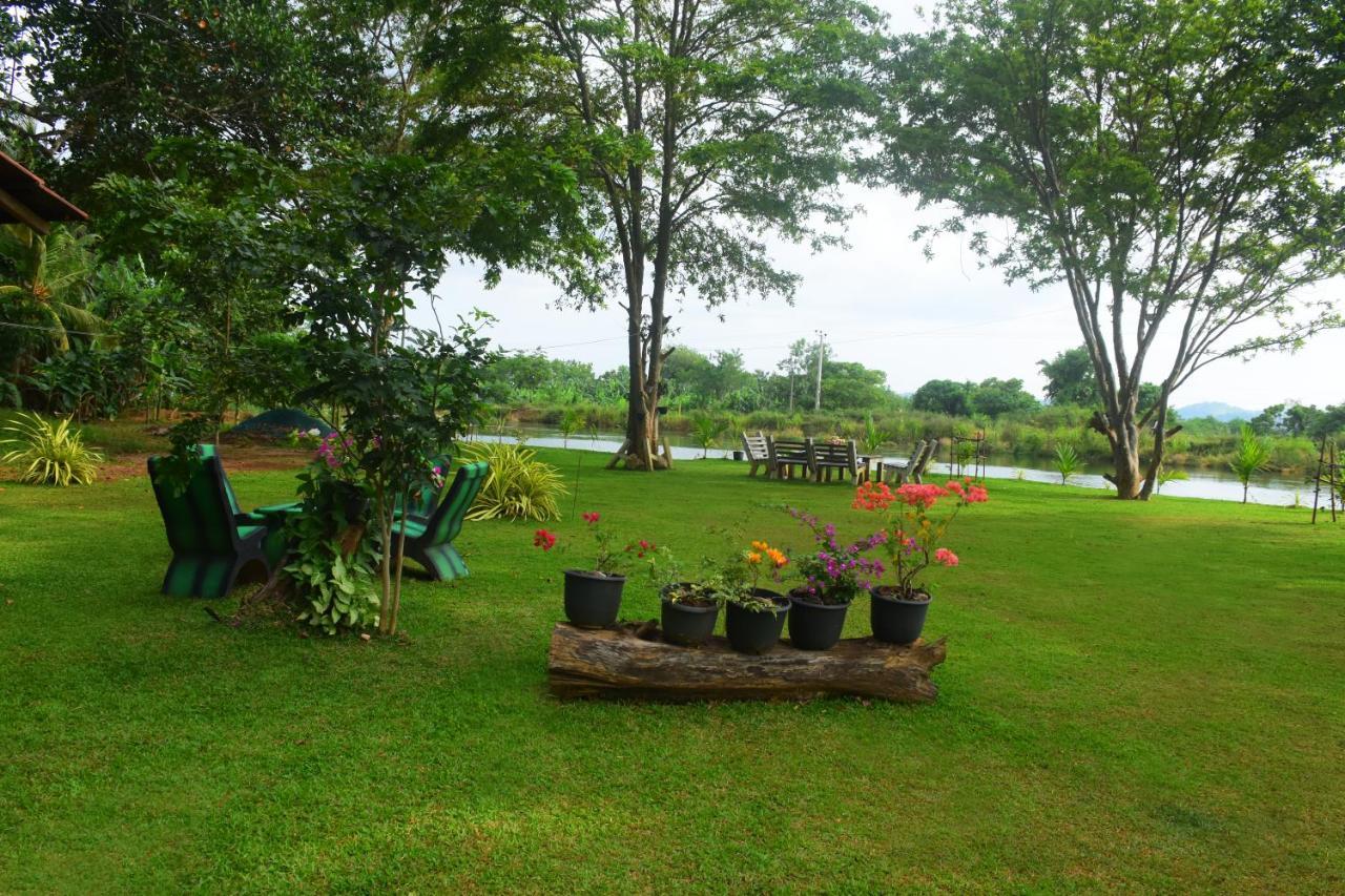 Canal Side Safari Resort Udawalawe Zewnętrze zdjęcie