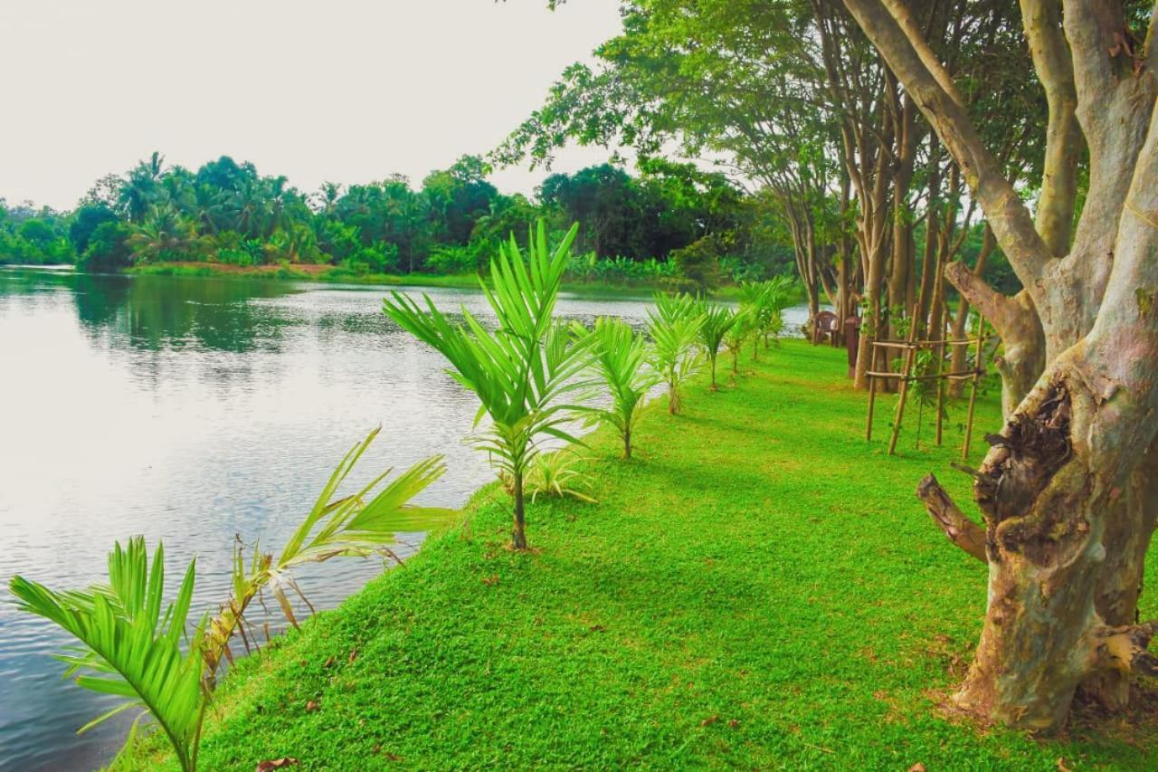 Canal Side Safari Resort Udawalawe Zewnętrze zdjęcie
